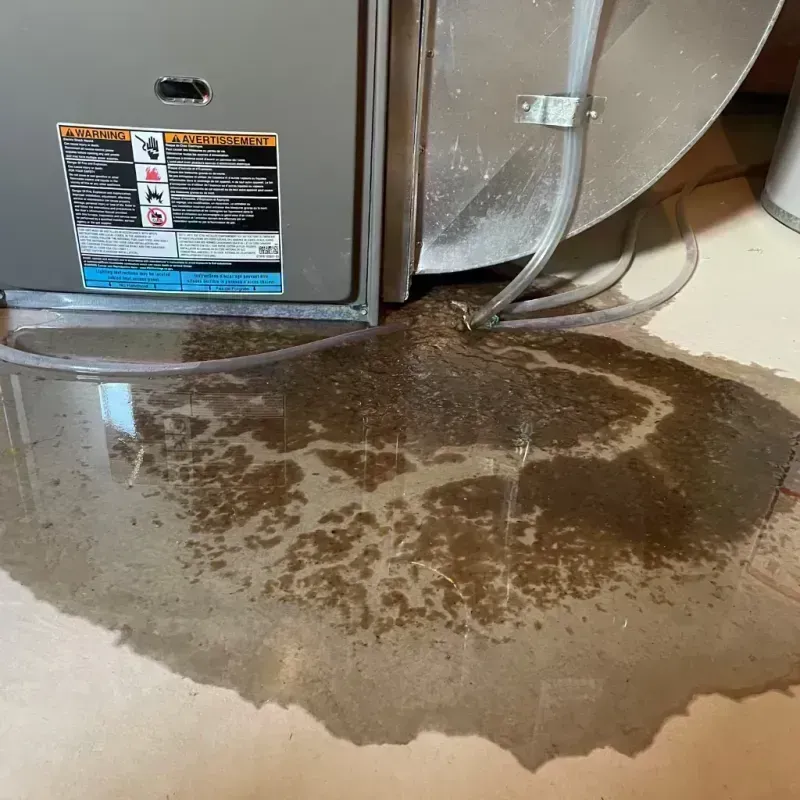 Appliance Leak Cleanup in Sand Point, AK